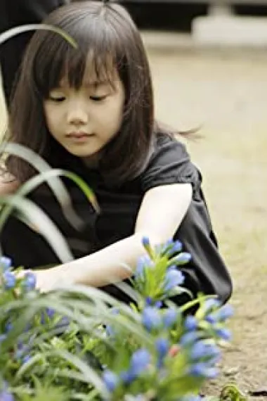 芦田爱菜