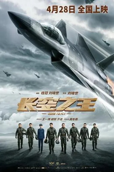 长空之王 下载