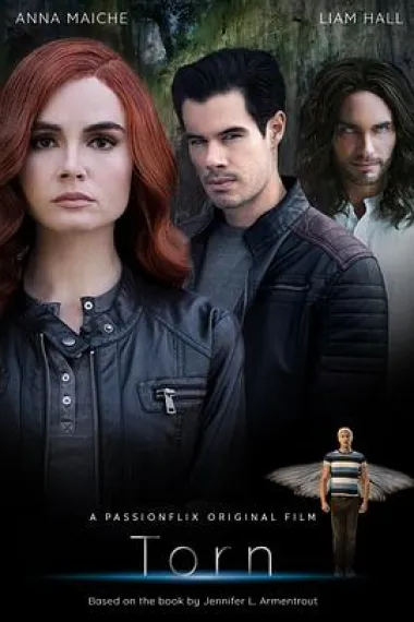 Torn: A Wicked Trilogy 下载