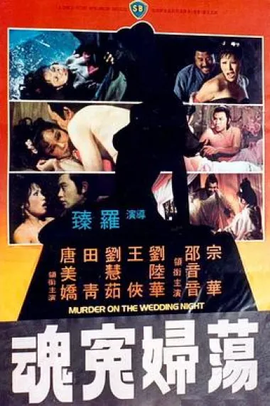 荡妇冤魂 下载