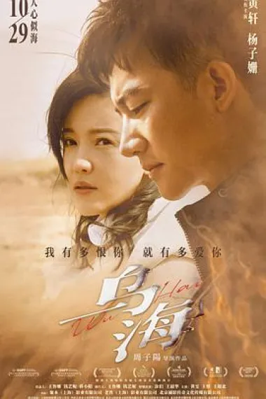 乌海 2160P 4K 下载