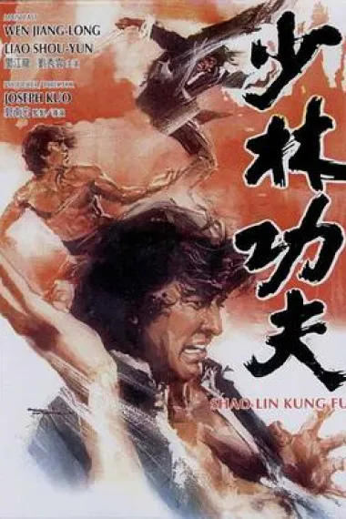 少林功夫 下载