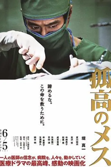 孤高的手术刀 下载