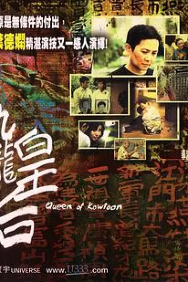 九龙皇后 下载
