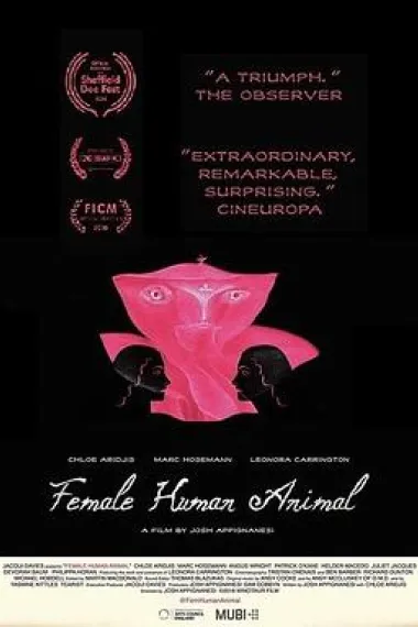 女性人类动物 下载