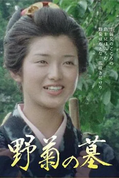野菊之墓 下载