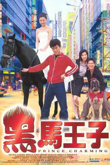 黑马王子 下载
