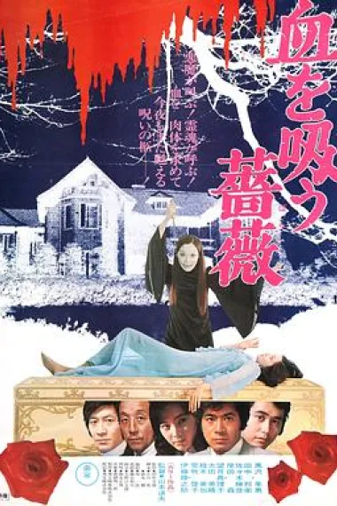 吸血蔷薇 下载