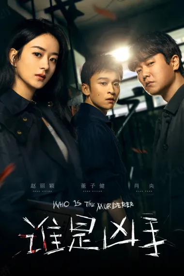 谁是凶手 2160P 4K 下载