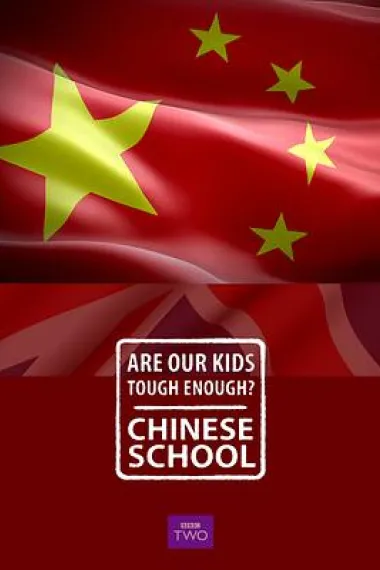 我们的孩子足够坚强吗？中式学校 下载