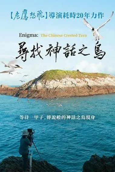 寻找神话之鸟 下载