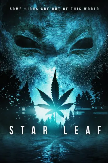 天外飞叶 下载