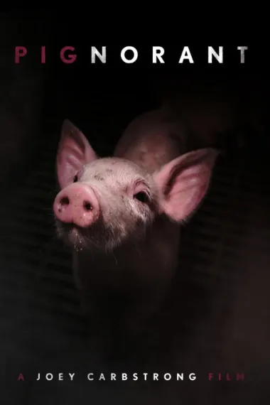 Pignorant 下载