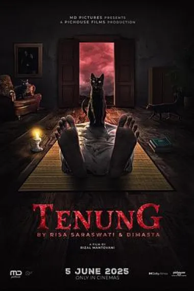 黑魔尸 下载