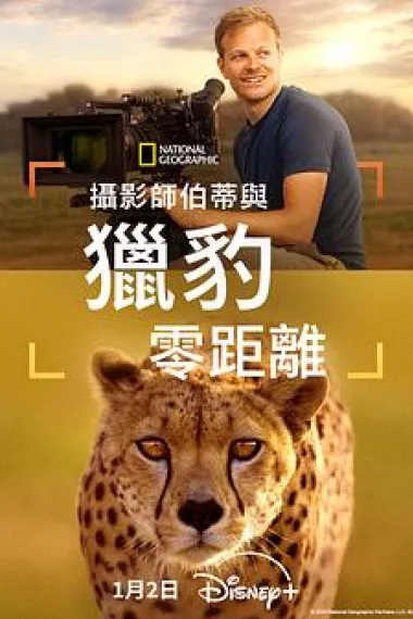 摄影师贝尔蒂与猎豹零距离 下载