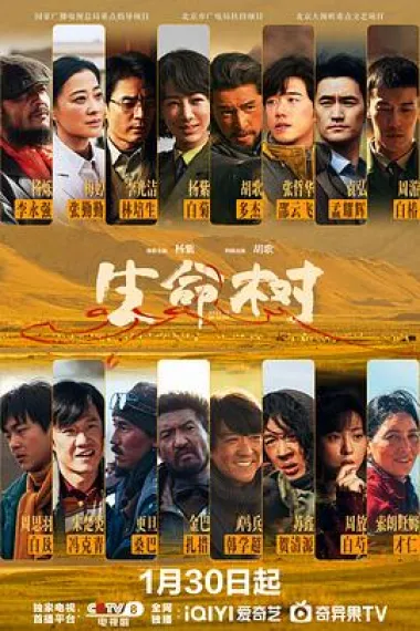 生命树 2160P 4K 下载