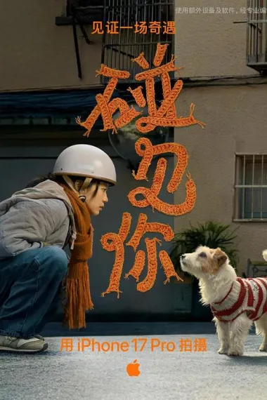 碰见你 2160P 4K 下载