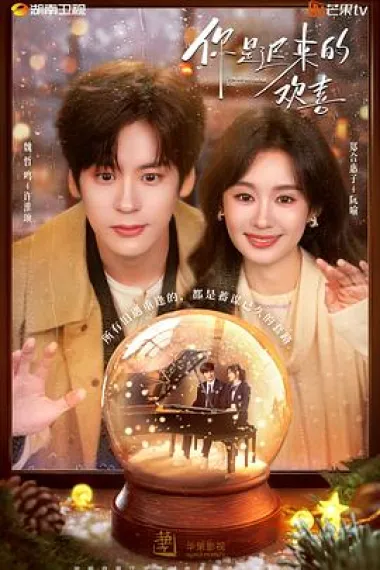 你是迟来的欢喜 2160P 4K 下载