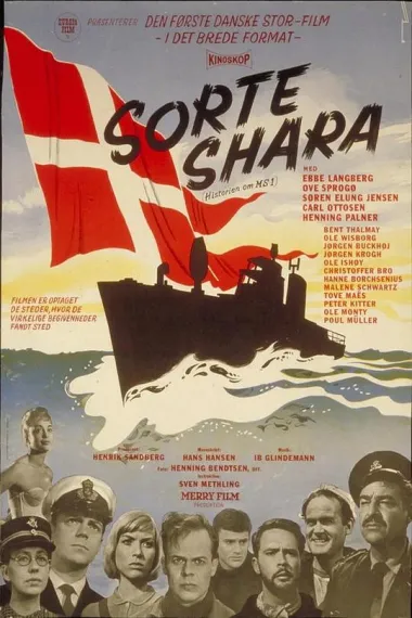 Sorte Shara 下载